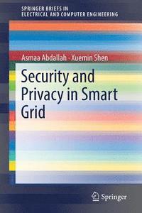 bokomslag Security and Privacy in Smart Grid