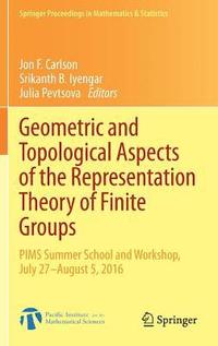 bokomslag Geometric and Topological Aspects of the Representation Theory of Finite Groups