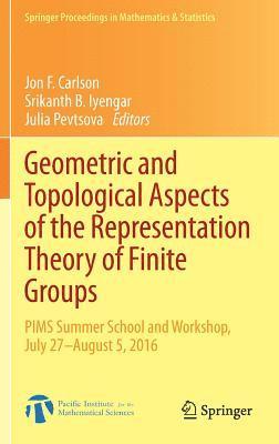 Geometric and Topological Aspects of the Representation Theory of Finite Groups