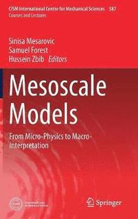 bokomslag Mesoscale Models