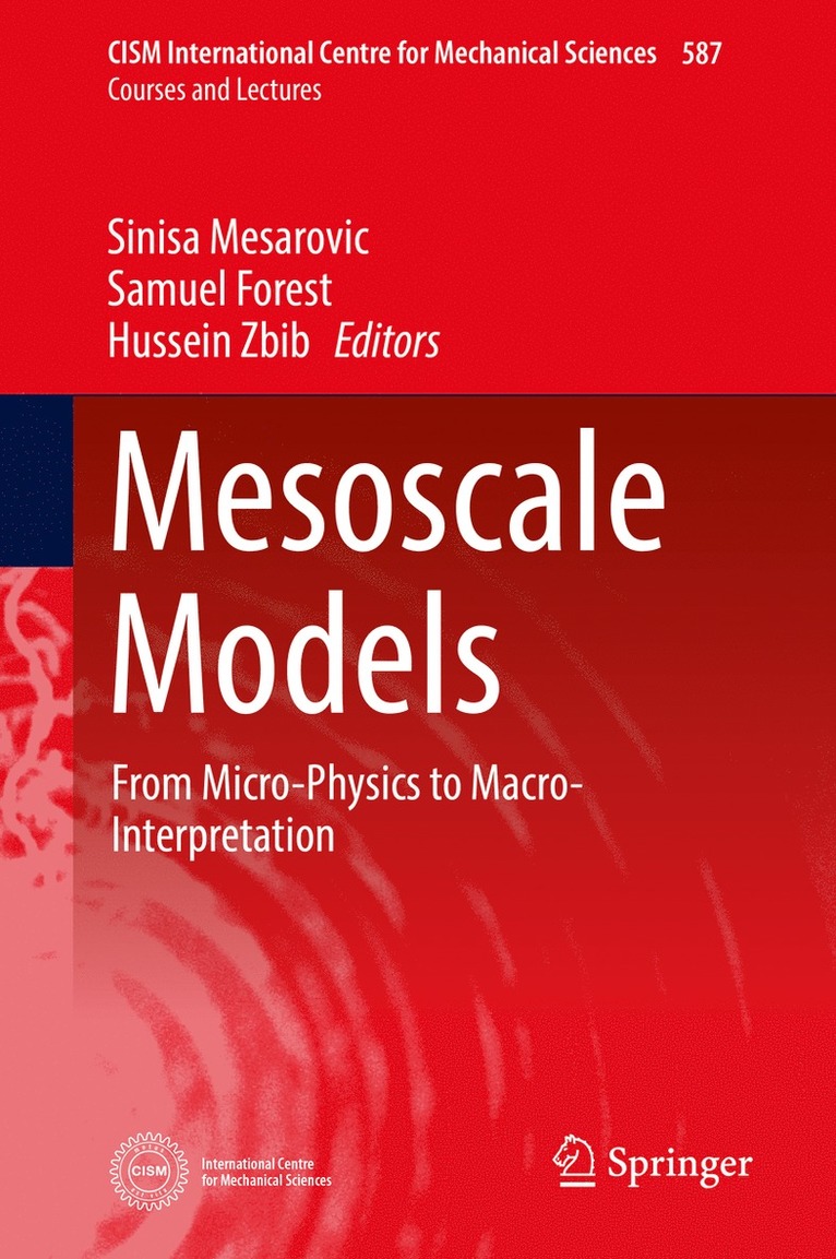 Sinisa Mesarovic, Samuel Forest, Hussein Zbib - Mesoscale Models, Inbunden