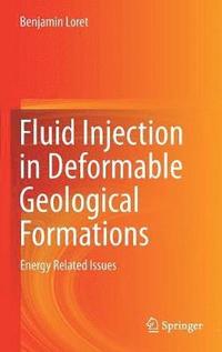 bokomslag Fluid Injection in Deformable Geological Formations