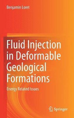 Fluid Injection in Deformable Geological Formations 1