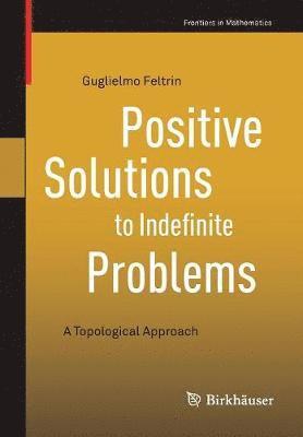 Guglielmo Feltrin - Positive Solutions to Indefinite Problems, Häftad