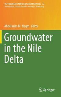 bokomslag Groundwater in the Nile Delta