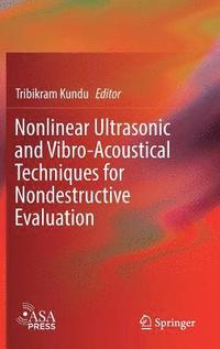 bokomslag Nonlinear Ultrasonic and Vibro-Acoustical Techniques for Nondestructive Evaluation