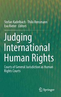 bokomslag Judging International Human Rights