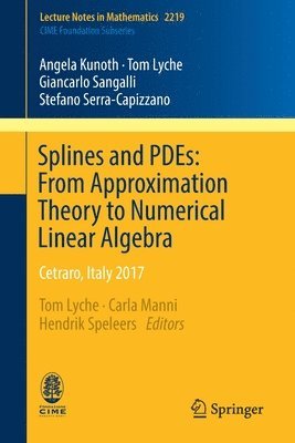 Splines and PDEs: From Approximation Theory to Numerical Linear Algebra 1