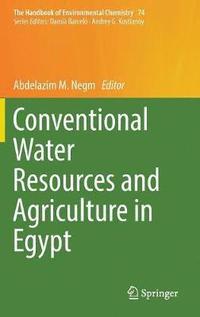 bokomslag Conventional Water Resources and Agriculture in Egypt