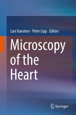 Microscopy of the Heart 1