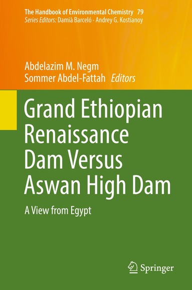 bokomslag Grand Ethiopian Renaissance Dam Versus Aswan High Dam