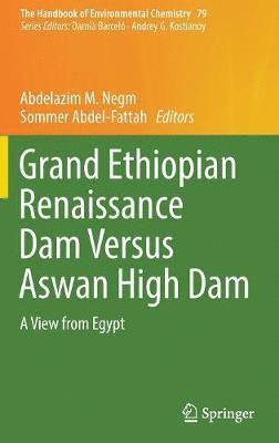 Abdelazim M. Negm, Sommer Abdel-Fattah - Grand Ethiopian Renaissance Dam Versus Aswan High Dam, Inbunden