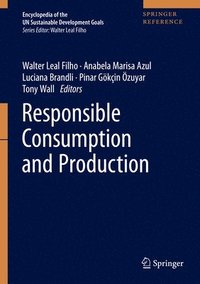 bokomslag Responsible Consumption and Production