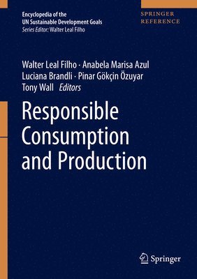 bokomslag Responsible Consumption and Production