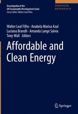 Affordable and Clean Energy 1