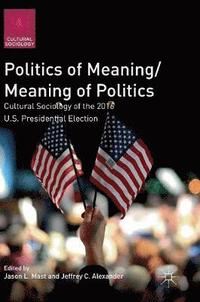 bokomslag Politics of Meaning/Meaning of Politics