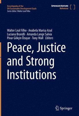 bokomslag Peace, Justice and Strong Institutions