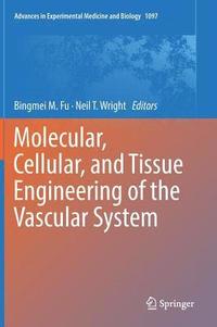 bokomslag Molecular, Cellular, and Tissue Engineering of the Vascular System