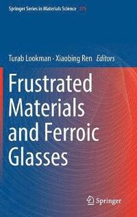 bokomslag Frustrated Materials and Ferroic Glasses