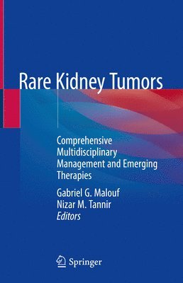 bokomslag Rare Kidney Tumors