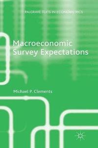 bokomslag Macroeconomic Survey Expectations