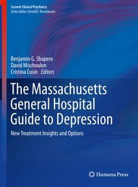 bokomslag The Massachusetts General Hospital Guide to Depression