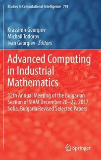 bokomslag Advanced Computing in Industrial Mathematics