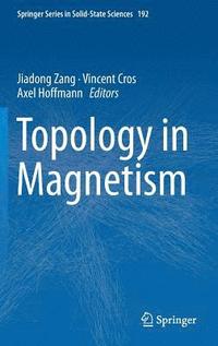 bokomslag Topology in Magnetism