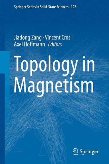 bokomslag Topology in Magnetism