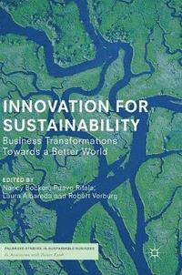 bokomslag Innovation for Sustainability