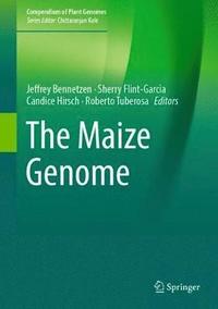 bokomslag The Maize Genome
