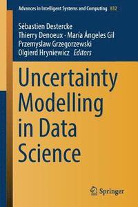 bokomslag Uncertainty Modelling in Data Science