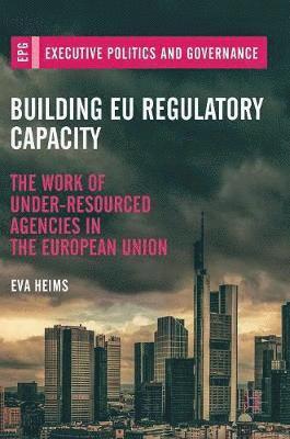 bokomslag Building EU Regulatory Capacity