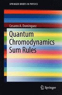 bokomslag Quantum Chromodynamics Sum Rules