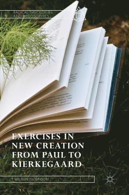 bokomslag Exercises in New Creation from Paul to Kierkegaard