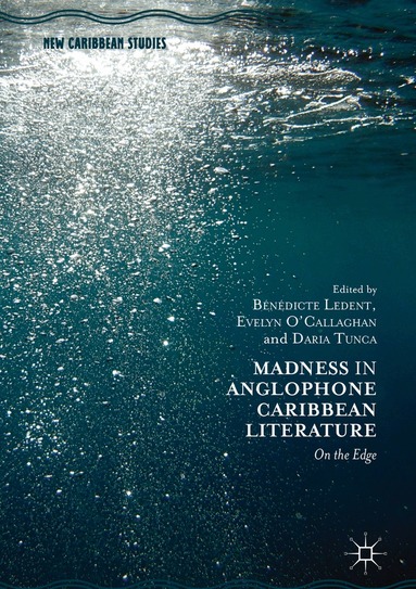 Bénédicte Ledent, Evelyn O'Callaghan, Daria Tunca - Madness in Anglophone Caribbean Literature, Inbunden