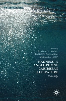 bokomslag Madness in Anglophone Caribbean Literature