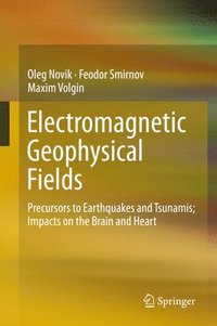 bokomslag Electromagnetic Geophysical Fields