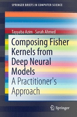 Composing Fisher Kernels from Deep Neural Models 1