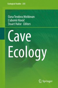 bokomslag Cave Ecology