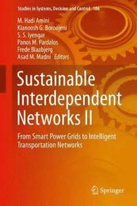 bokomslag Sustainable Interdependent Networks II