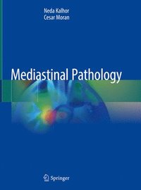 bokomslag Mediastinal Pathology