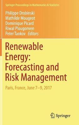 Renewable Energy: Forecasting and Risk Management 1
