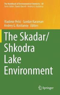 bokomslag The Skadar/Shkodra Lake Environment