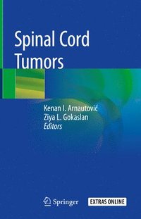 bokomslag Spinal Cord Tumors