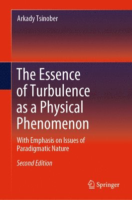 The Essence of Turbulence as a Physical Phenomenon 1