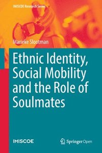 bokomslag Ethnic Identity, Social Mobility and the Role of Soulmates