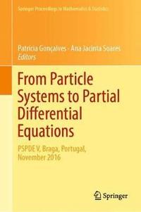 bokomslag From Particle Systems to Partial Differential Equations