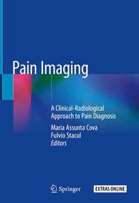 bokomslag Pain Imaging