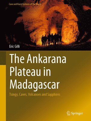 bokomslag Ankarana Plateau in Madagascar